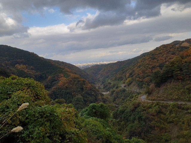 f:id:navi110:20231124180030j:image