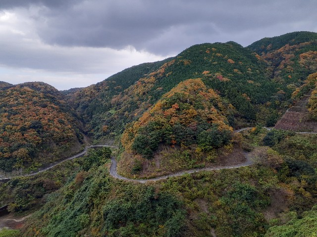 f:id:navi110:20231124180041j:image