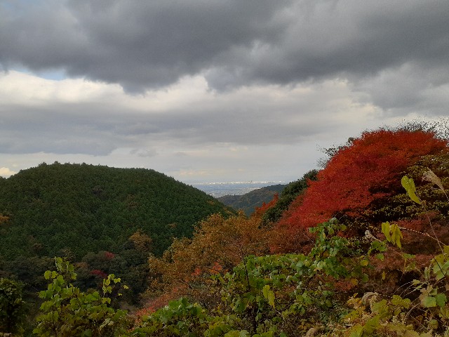 f:id:navi110:20231124180134j:image