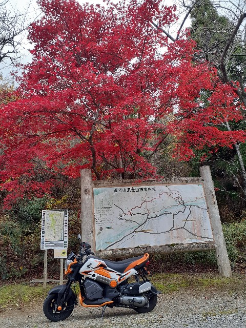 f:id:navi110:20231124180355j:image