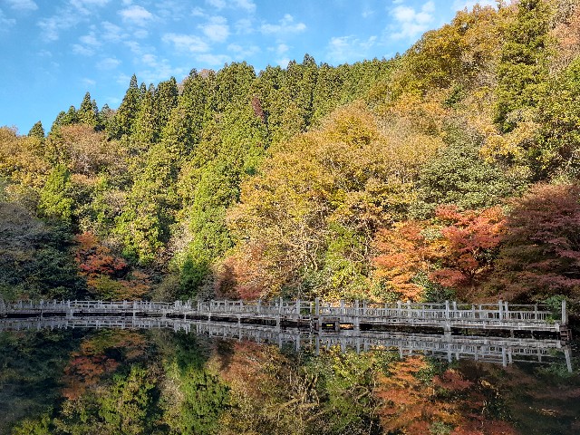 f:id:navi110:20231125101704j:image