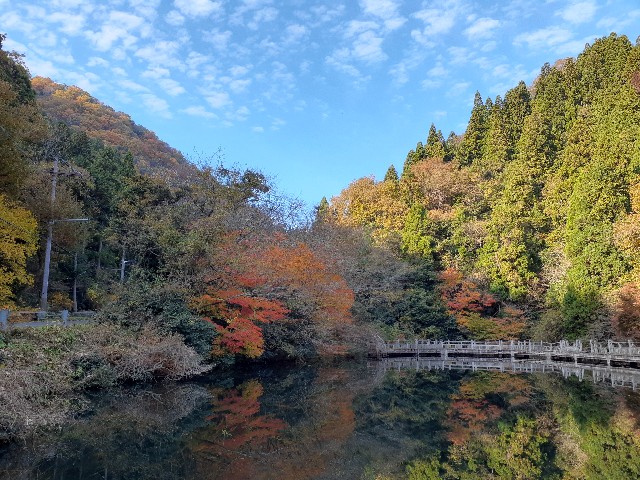 f:id:navi110:20231125101955j:image