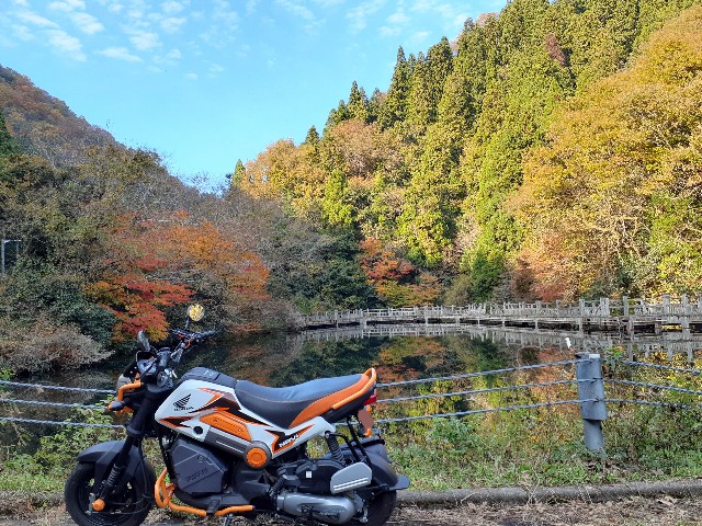 f:id:navi110:20231125102253j:image