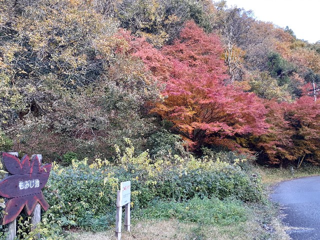 f:id:navi110:20231125102417j:image