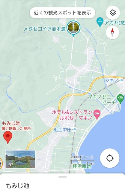 f:id:navi110:20231125102719j:image