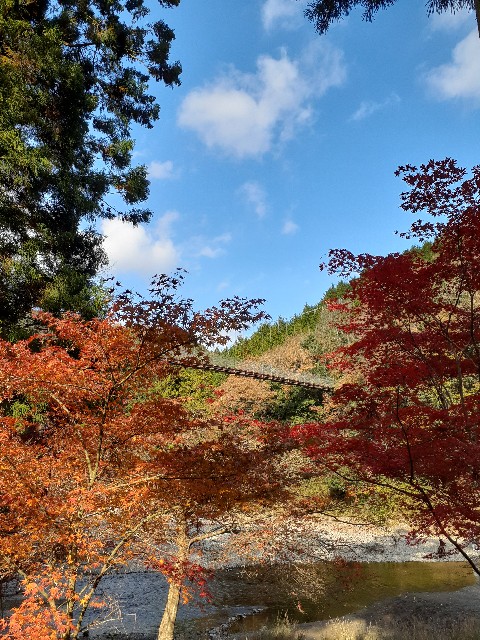 f:id:navi110:20231202184840j:image