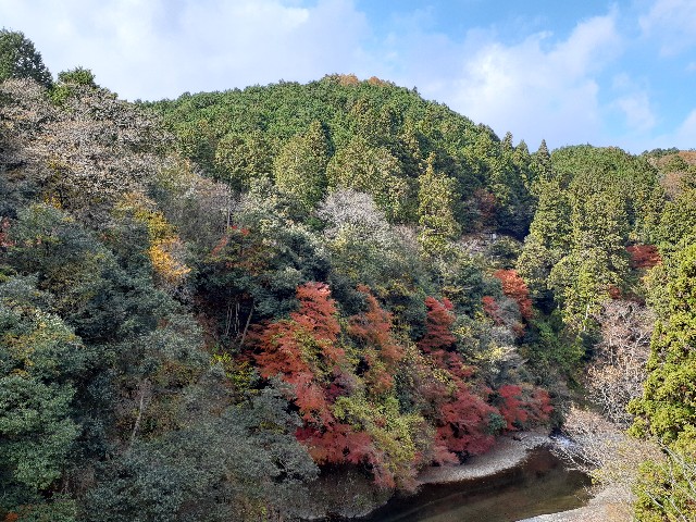 f:id:navi110:20231202185305j:image