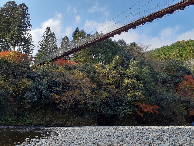 f:id:navi110:20231202185505j:image