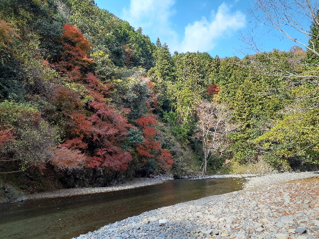 f:id:navi110:20231202185538j:image