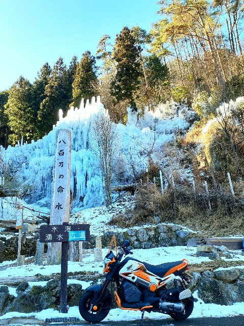 f:id:navi110:20240127182553j:image