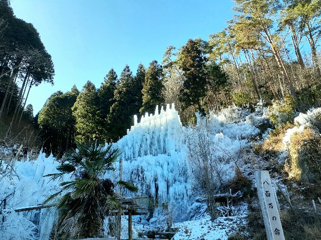 f:id:navi110:20240127182741j:image