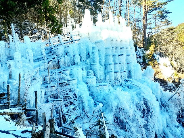 f:id:navi110:20240127183125j:image