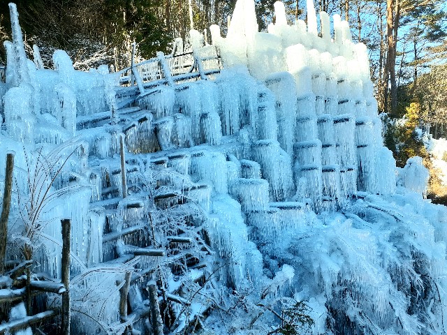 f:id:navi110:20240127183139j:image