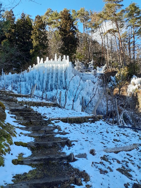 f:id:navi110:20240127183245j:image