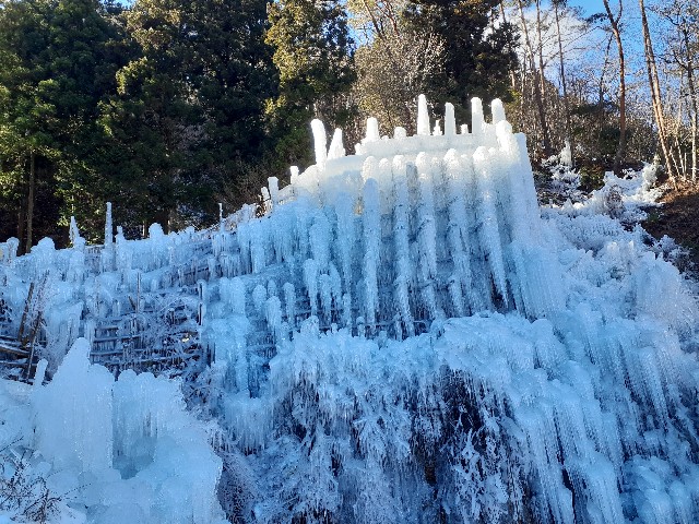 f:id:navi110:20240127183330j:image