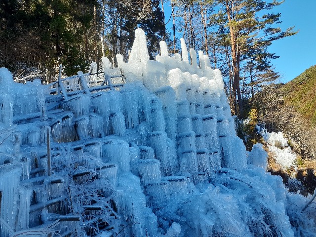 f:id:navi110:20240127183458j:image