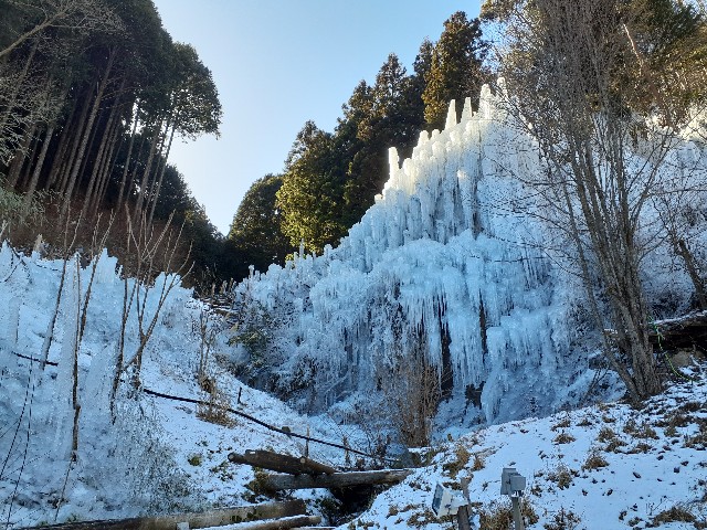 f:id:navi110:20240127183546j:image