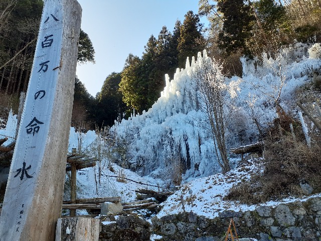 f:id:navi110:20240127183711j:image