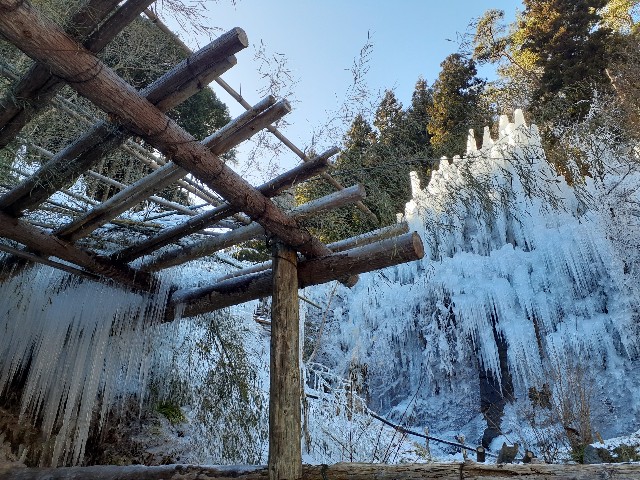 f:id:navi110:20240127183838j:image