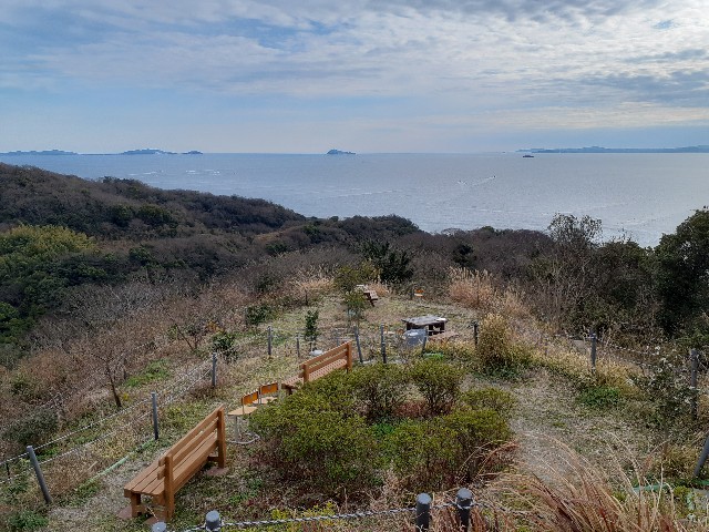 f:id:navi110:20240203203458j:image