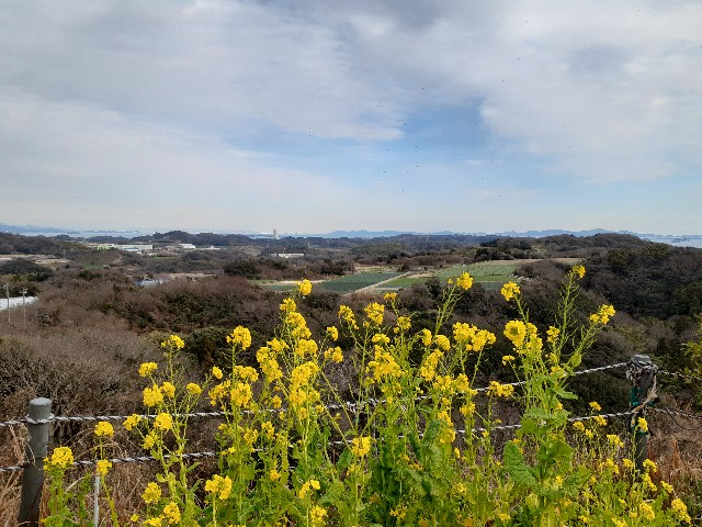 f:id:navi110:20240203203510j:image