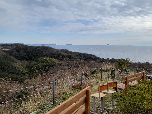 f:id:navi110:20240203203528j:image