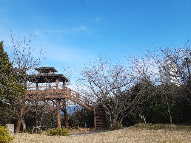 f:id:navi110:20240205200124j:image