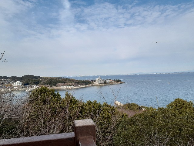 f:id:navi110:20240205200945j:image