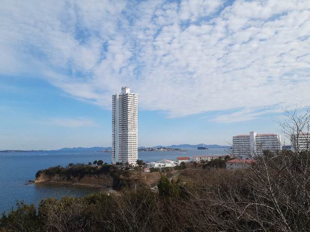 f:id:navi110:20240205201015j:image