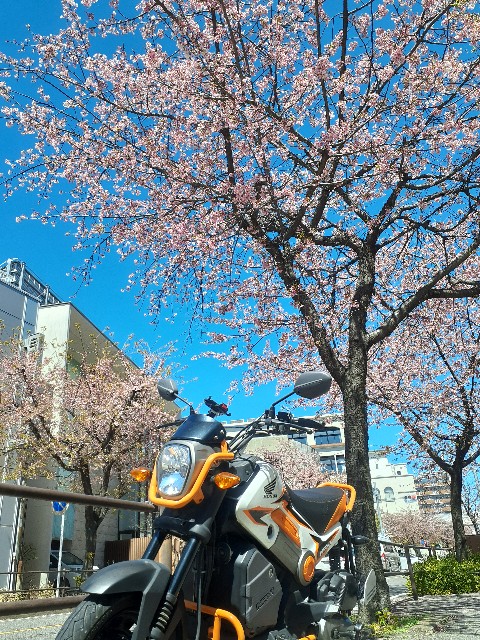 f:id:navi110:20240327161907j:image