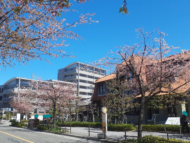 f:id:navi110:20240327162126j:image