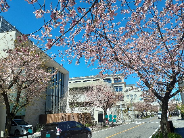 f:id:navi110:20240327162224j:image