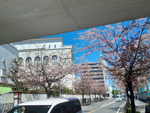 f:id:navi110:20240327162302j:image