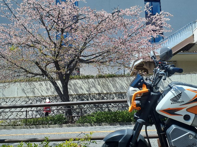 f:id:navi110:20240327170253j:image