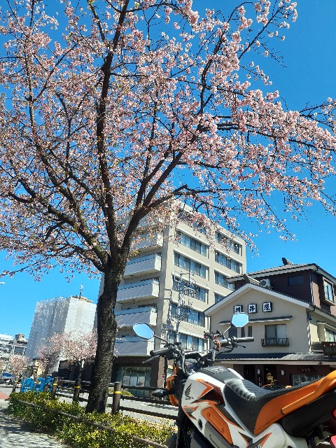 f:id:navi110:20240327170408j:image