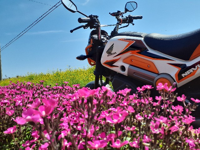 f:id:navi110:20240407104709j:image