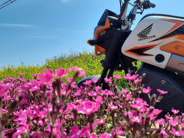 f:id:navi110:20240407104727j:image