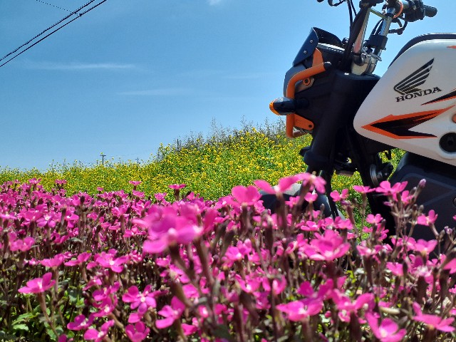 f:id:navi110:20240407104802j:image