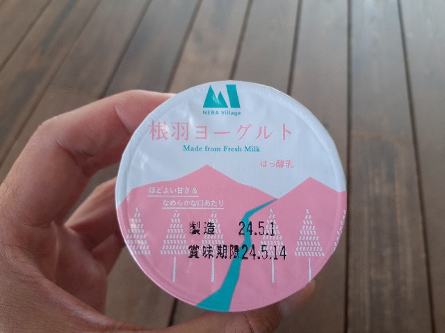 f:id:navi110:20240511215815j:image