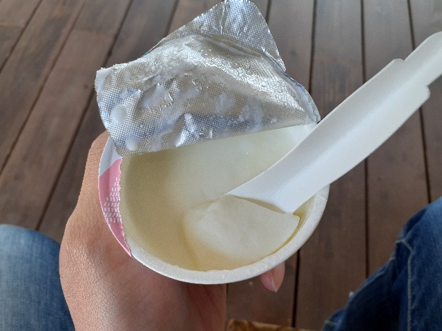 f:id:navi110:20240511220307j:image