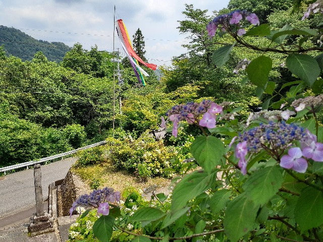 f:id:navi110:20240608230849j:image