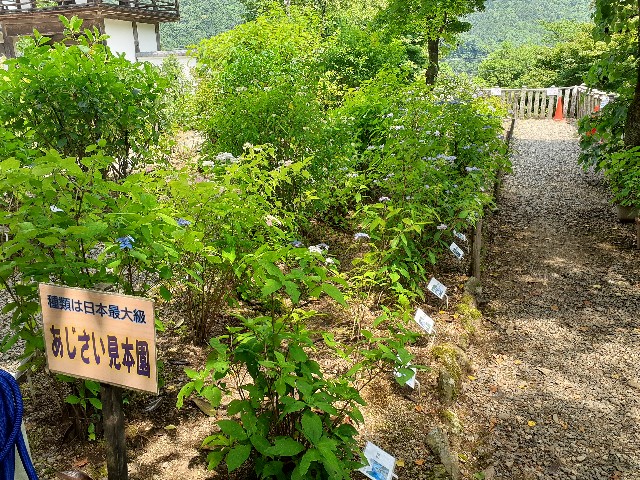 f:id:navi110:20240608231616j:image