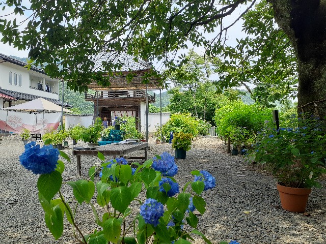 f:id:navi110:20240608231803j:image