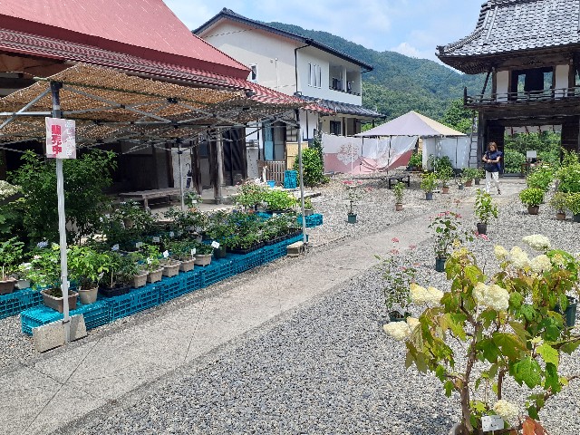 f:id:navi110:20240608232111j:image