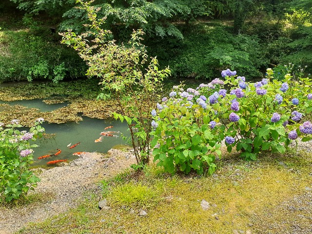 f:id:navi110:20240608233047j:image