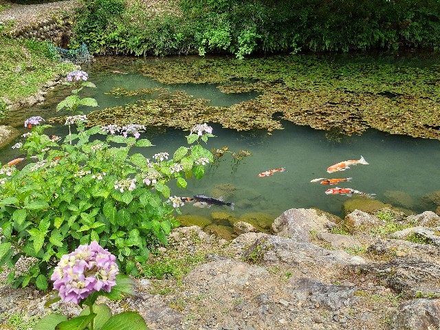 f:id:navi110:20240608233210j:image