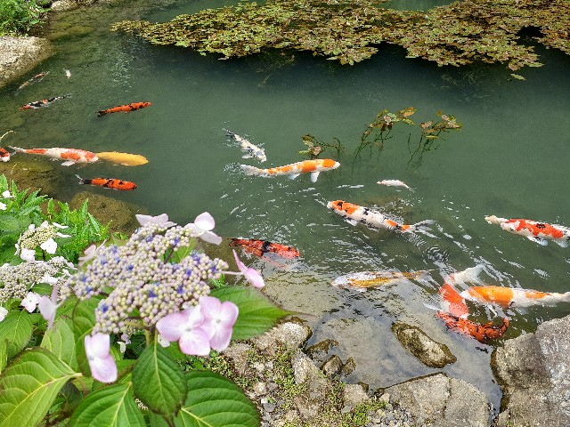 f:id:navi110:20240608233350j:image