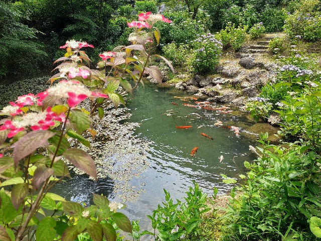 f:id:navi110:20240608233521j:image