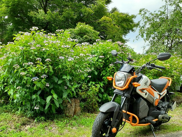 f:id:navi110:20240608234608j:image