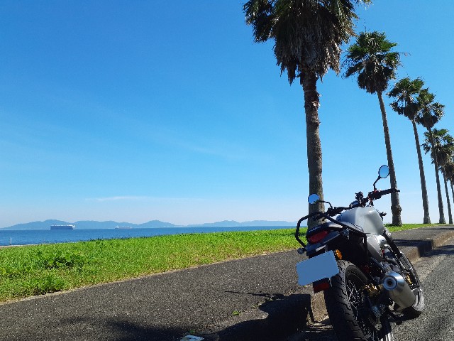 f:id:navi110:20240709210302j:image